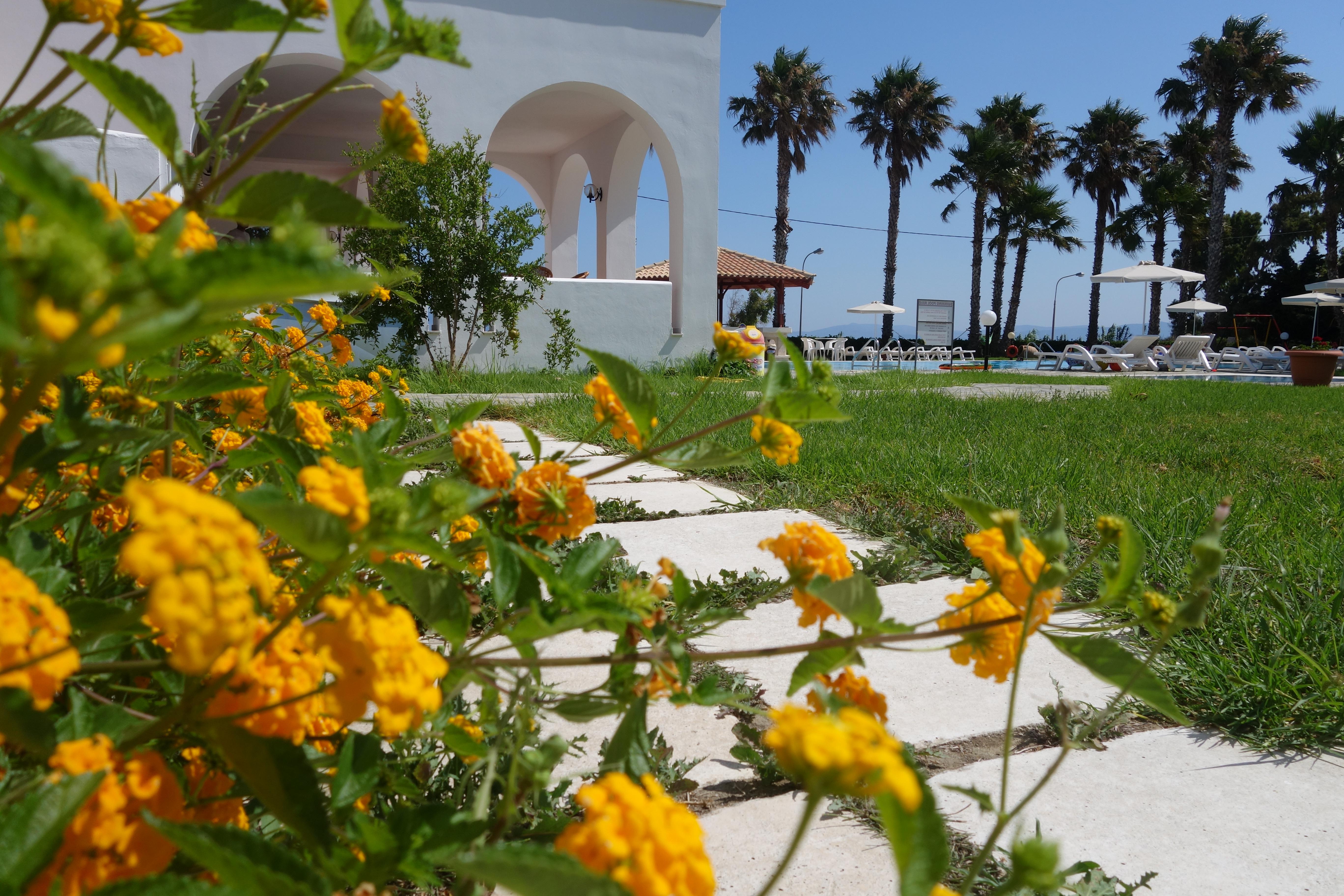 Andromeda Hotel Apartments Psalidi (Kos) Exterior foto